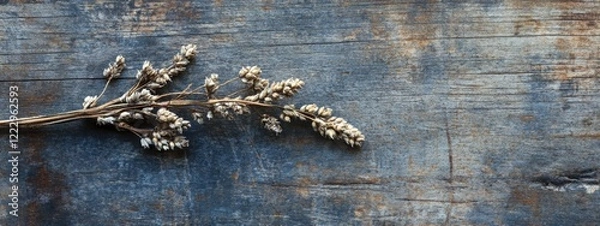 Obraz Dried sagebrush twig with seeds on weathered wood background and ample space for text or design elements