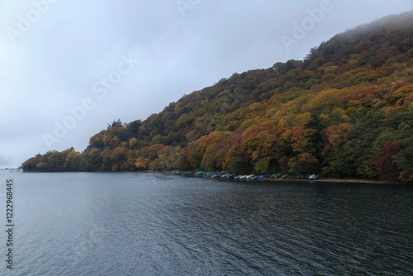 Obraz 日光　紅葉　いろは坂