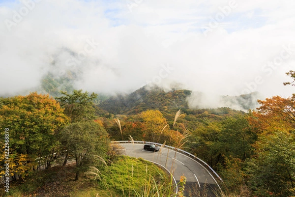 Obraz 日光　紅葉　いろは坂