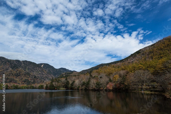 Obraz 日光　紅葉　いろは坂