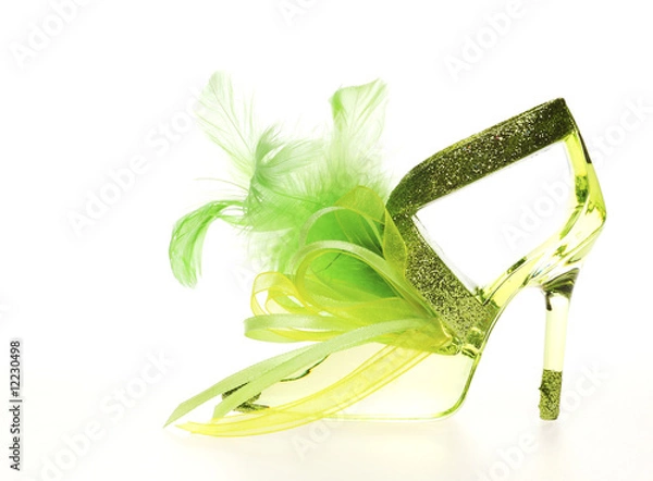 Obraz Glass shoe