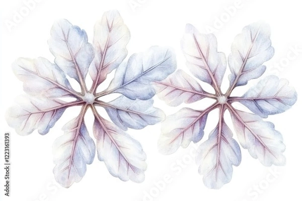 Obraz Two delicate, translucent leaves with intricate veining, set against a white background, ideal for botanical illustrations