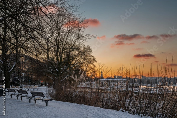 Obraz Die Hamburger Alster im Winter am Abend