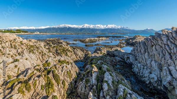 Obraz Kaikoura Beach