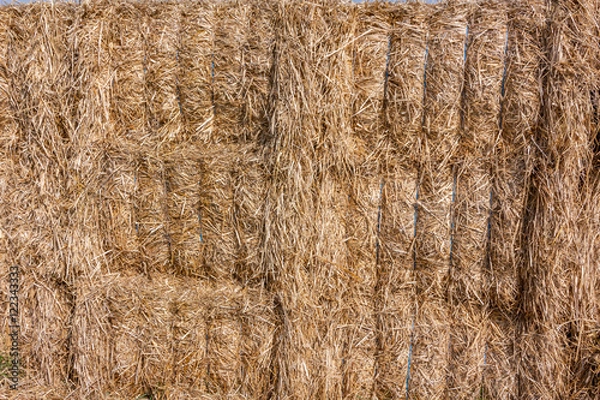 Fototapeta Hay