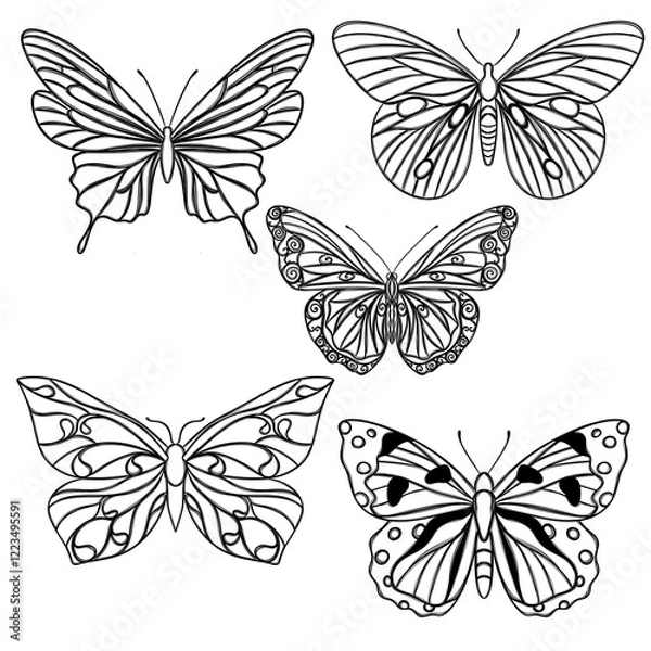 Obraz Line art butterfly, Layout for printing illustrations on T-shirts, notepads, covers