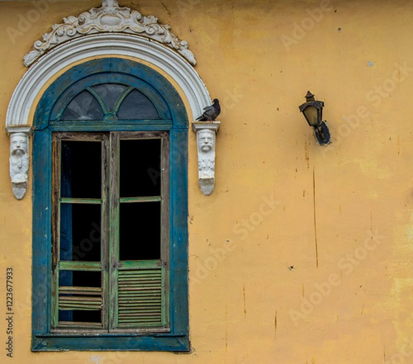 Fototapeta Pigeon of the Columba livia species perched on a decorated white frieze of a blue window of an old house on an orange wall with an old metal lamp

