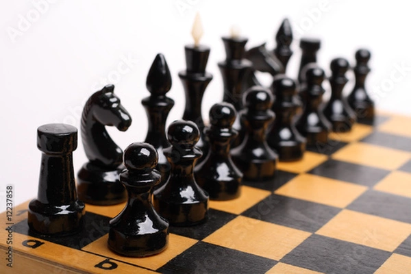 Fototapeta The roe of chess