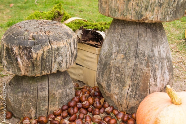 Obraz Kastanien, Kürbis und Pilze im Herbst