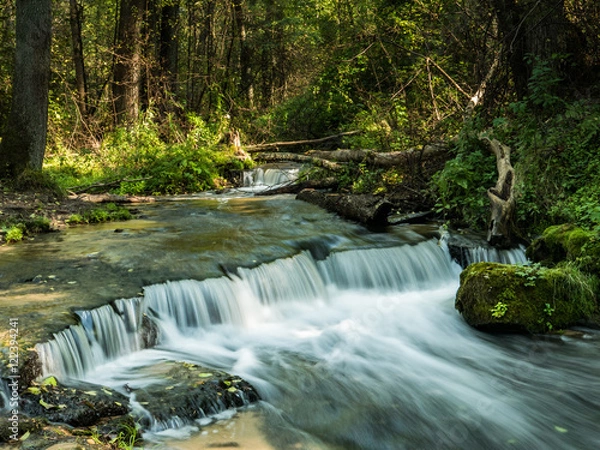 Fototapeta Wodospady i przełomy na potoku Sopot w rezerwacie Czartowe Pole na Roztoczu wśród drzew i lasów płynie rzeka. 