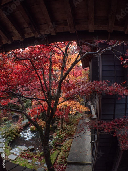 Obraz 新潟 紅葉 中野邸