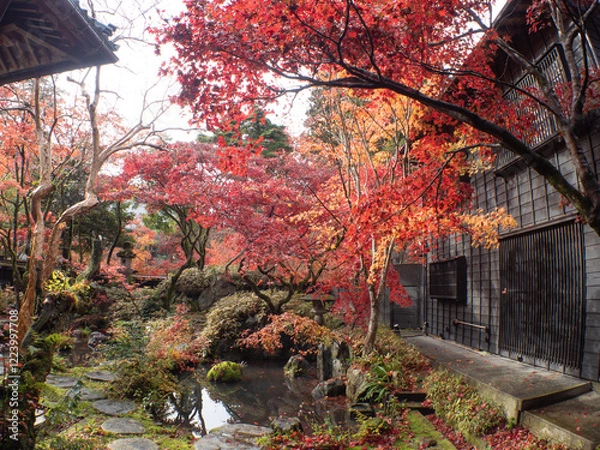 Fototapeta 新潟 紅葉 中野邸