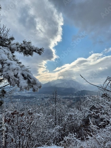 Fototapeta 눈이 내린 겨울산의 풍경