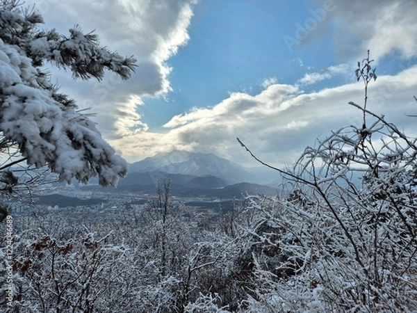 Fototapeta 눈이 내린 겨울산의 풍경