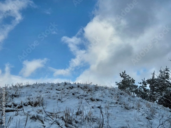 Fototapeta 눈이 내린 겨울산의 풍경