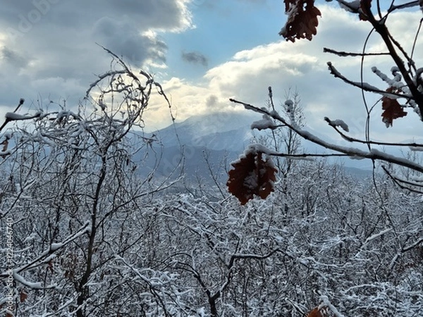Fototapeta 눈이 내린 겨울산의 풍경