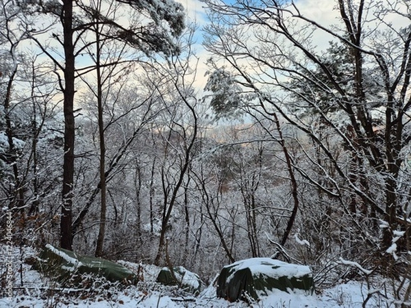 Fototapeta 눈이 내린 겨울산의 풍경