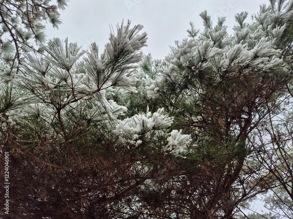 Fototapeta 눈이 내린 겨울산의 풍경