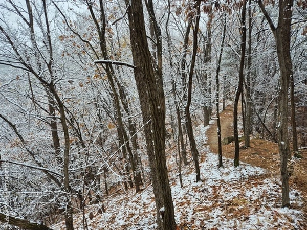 Fototapeta 눈이 내린 겨울산의 풍경