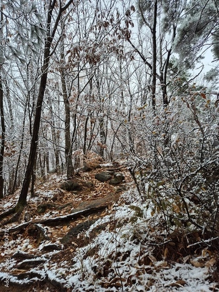 Fototapeta 눈이 내린 겨울산의 풍경