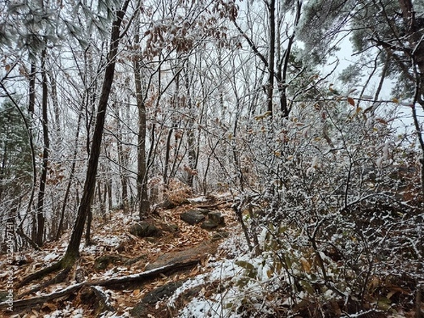 Fototapeta 눈이 내린 겨울산의 풍경