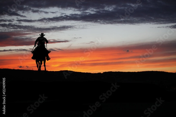 Obraz Cowboy on a horse