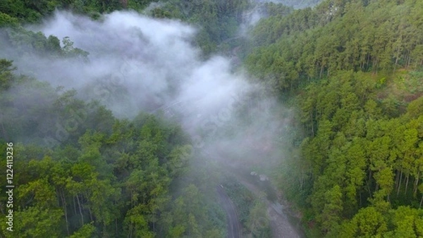Fototapeta Dramatic Drone view of highway in the middle of forest and trees among hills with thin mist in the morning