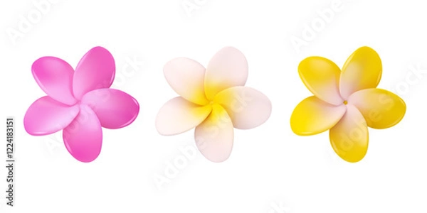 Fototapeta Frangipani flower vector 3d set. Collection of tropical plumeria flowers isolated on white background. Summer design elements