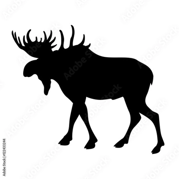 Obraz elk vector illustration black silhouette