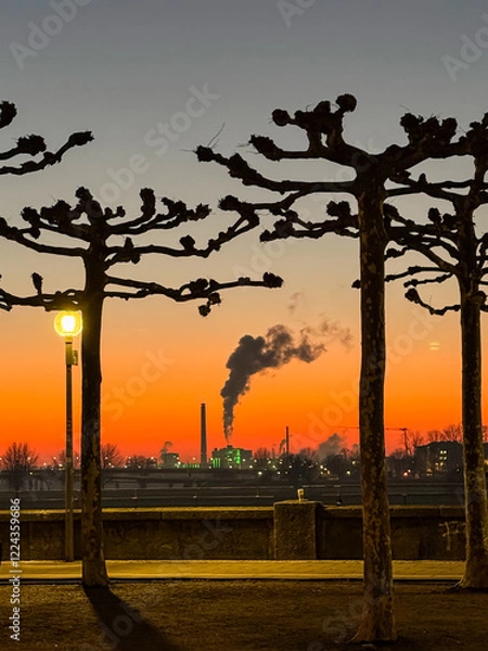 Fototapeta Düsseldorf