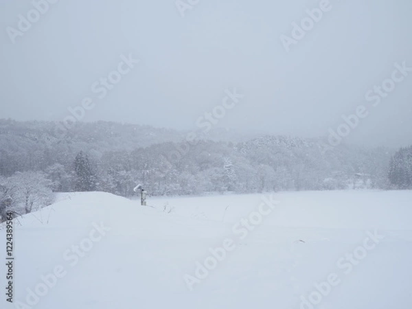 Fototapeta 雪景色
