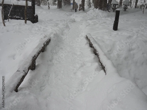 Fototapeta 雪景色