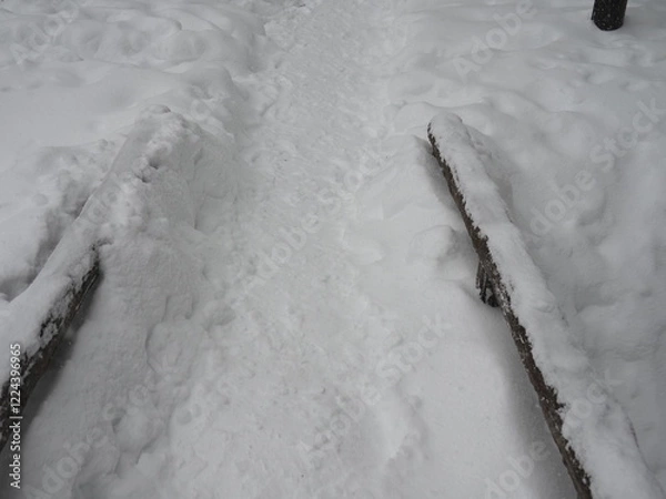 Fototapeta 雪景色