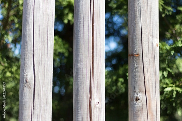 Obraz White fence, trees background