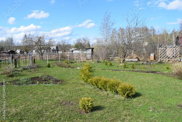 Obraz garden