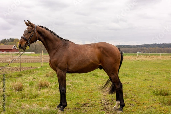 Obraz https://www.juliochang.com