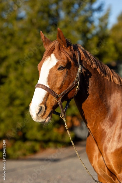 Fototapeta https://www.juliochang.com