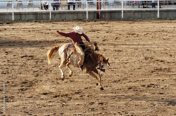 Obraz saddle bronc