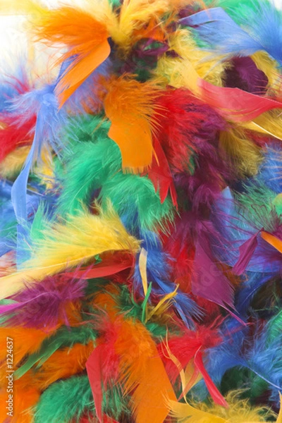 Obraz feathers