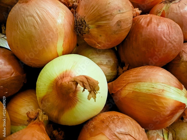 Obraz pile of fresh, golden brown onions, highlighting their layered texture and earthy aroma. Perfect for food photography
