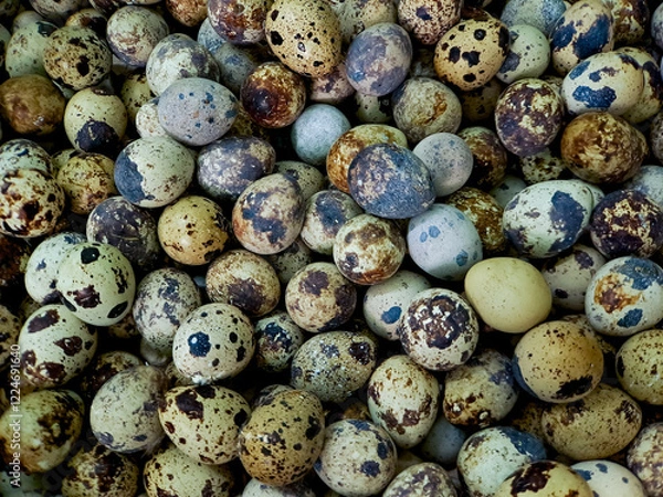 Fototapeta shot of a pile of speckled quail eggs, showcasing their unique patterns and miniature size