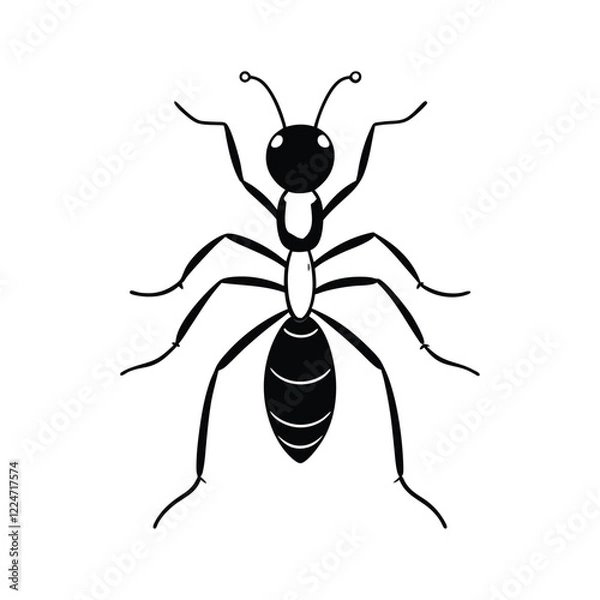 Fototapeta Ant Insect line art vector illustration