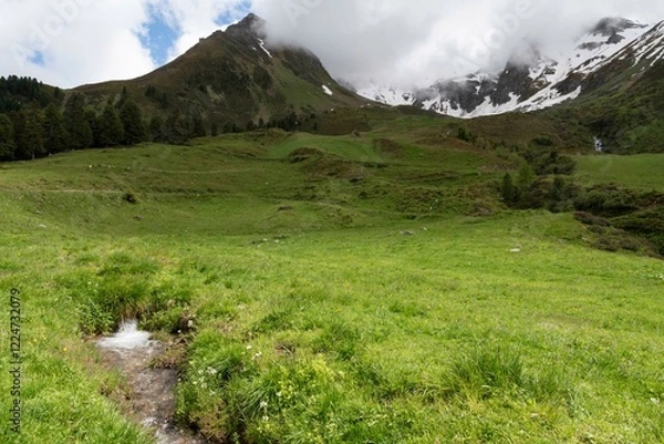 Fototapeta Serene Alpine Meadow with Mountain Stream and Snow-Capped Peaks in Zillertal, Tirol, Austria