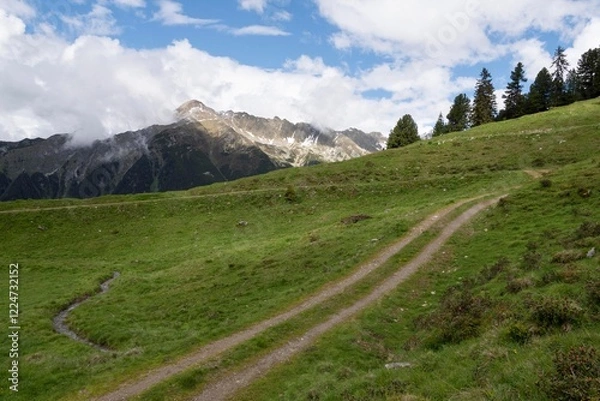 Fototapeta Winding Alpine Path with Majestic Mountain Views in Zillertal, Tirol, Austria