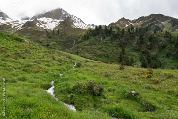 Fototapeta Alpine Stream Flowing Through Green Meadows with Snow-Capped Mountains in Zillertal, Tirol, Austria