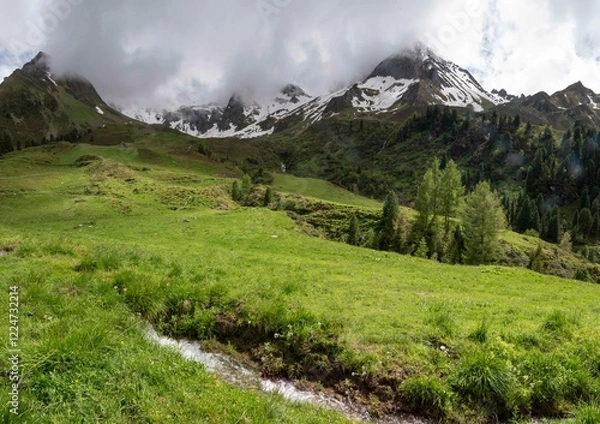 Fototapeta Alpine Meadow with Snow-Capped Mountains and Flowing Stream in Zillertal, Tirol, Austria