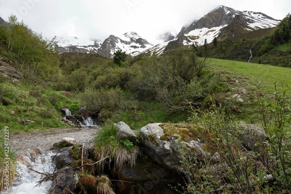 Fototapeta Crystal Clear Alpine Stream Flowing Through Greenery with Snow-Capped Peaks in Zillertal, Tirol, Austria