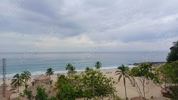 Fototapeta Serene beach view with palm trees and soft waves under a cloudy sky