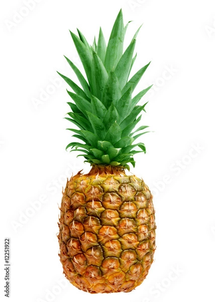 Fototapeta Pineapple