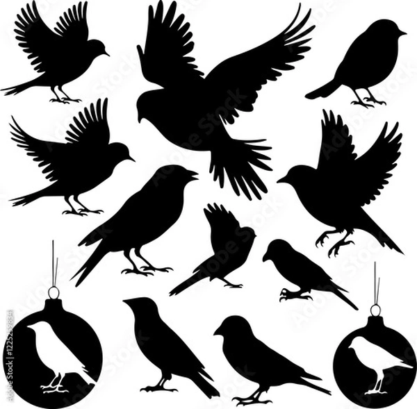 Fototapeta Bird Silhouette Designs, Vector Bird Art, Minimalist Bird Silhouettes, Elegant Bird Shapes, Bird Silhouette Graphics, Artistic Bird Outlines, Modern Bird Vectors, Bird Silhouette Illustrations,	